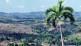 yumuri valley matanzas cuba