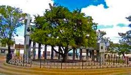 Carmen Park Santa Clara